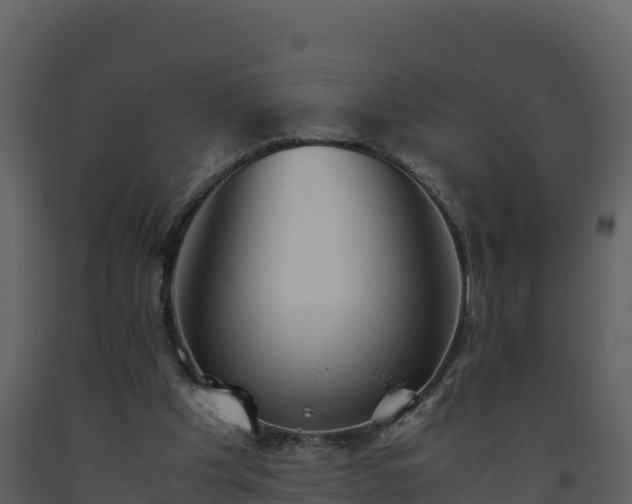 X0000093460201200710191131