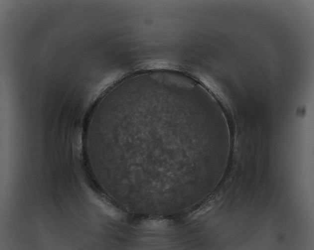 X0000093460202200710191131