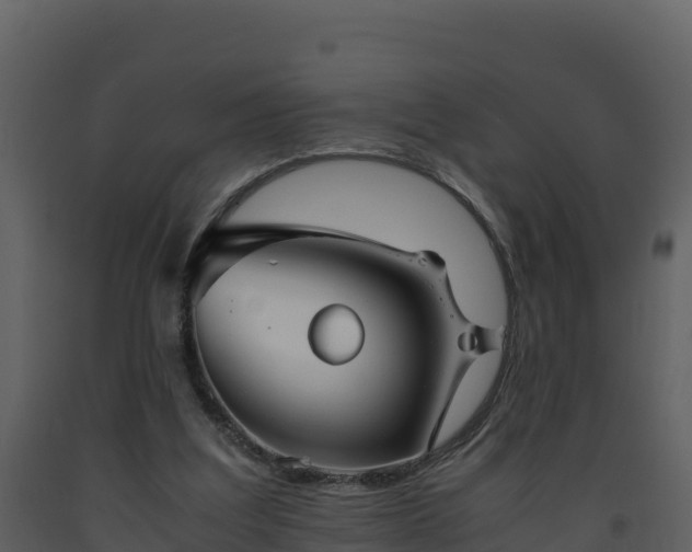 X0000093460203200710191131