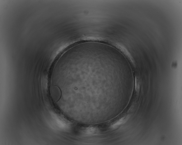 X0000093460204200710191131