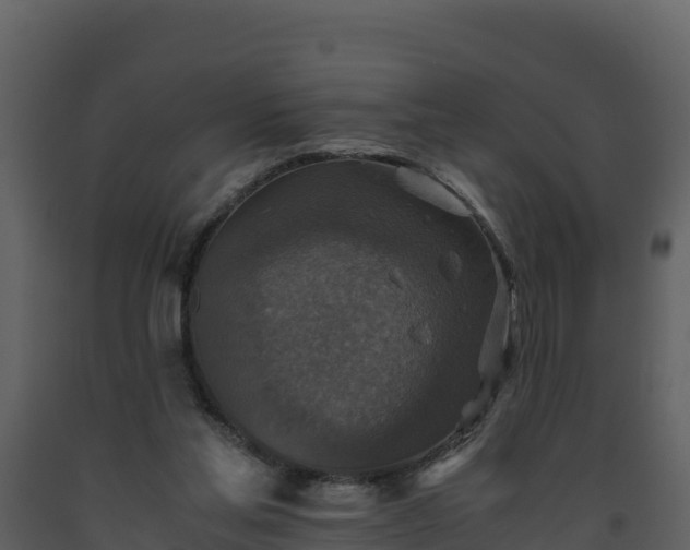 X0000093460205200710191131