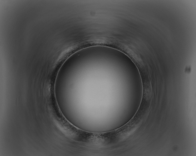 X0000093460207200710191131