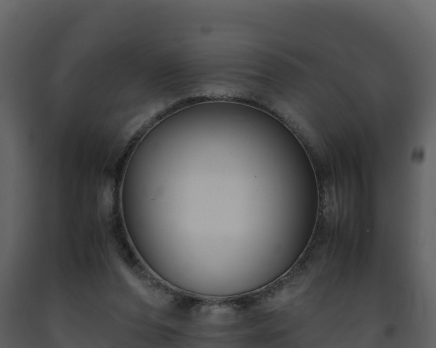 X0000093460208200710191131