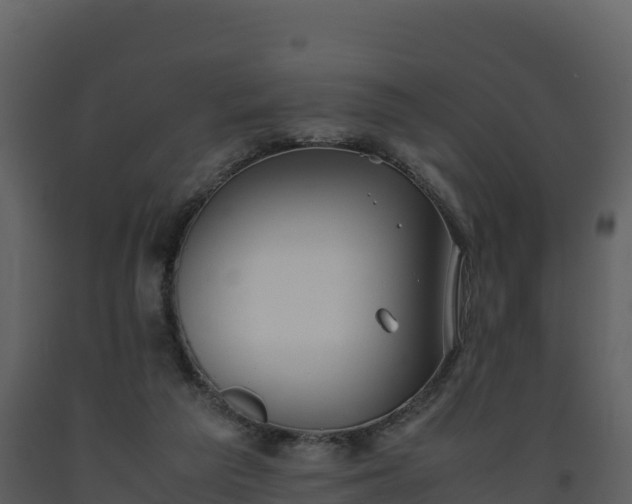 X0000093460209200710191131