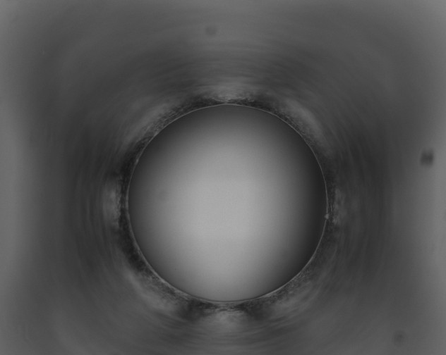 X0000093460210200710191131