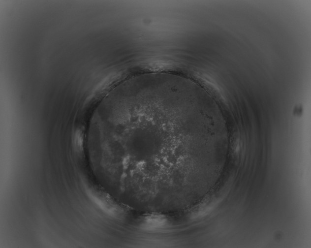 X0000093460214200710191131