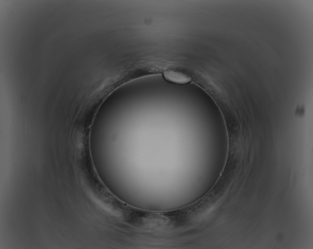 X0000093460215200710191131