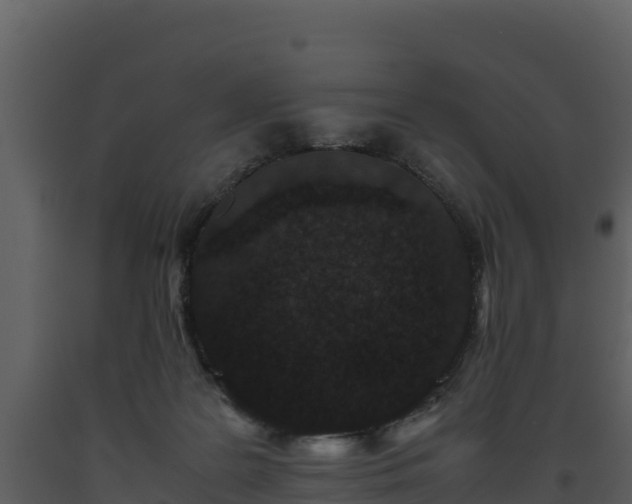 X0000093460219200710191130