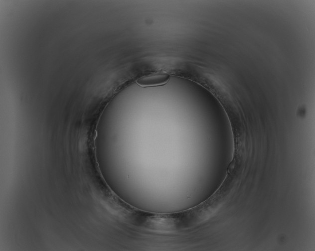 X0000093460221200710191130