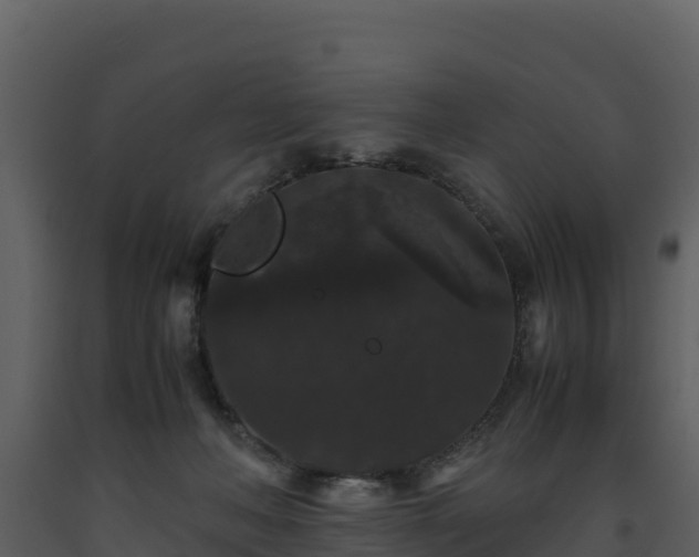 X0000093460222200710191130