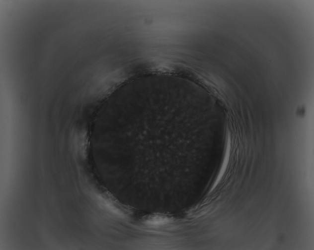 X0000093460223200710191130