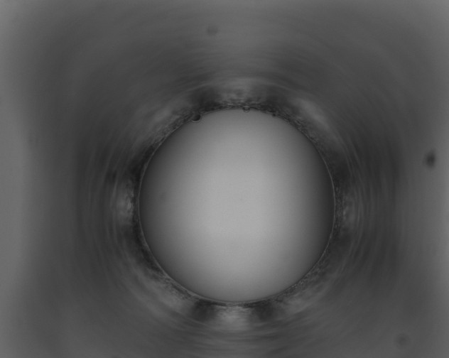 X0000093460226200710191130