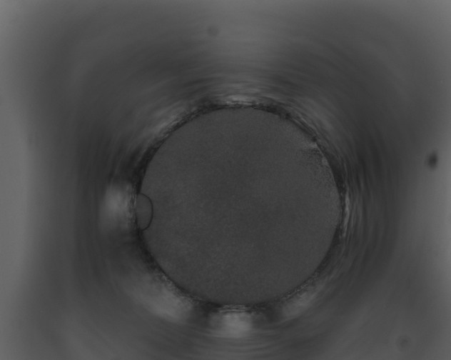 X0000093460228200710191130