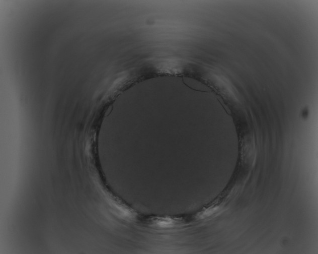 X0000093460229200710191130