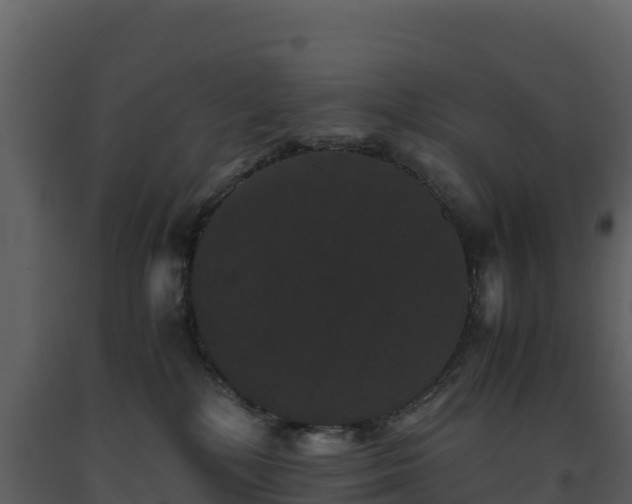 X0000093460232200710191130