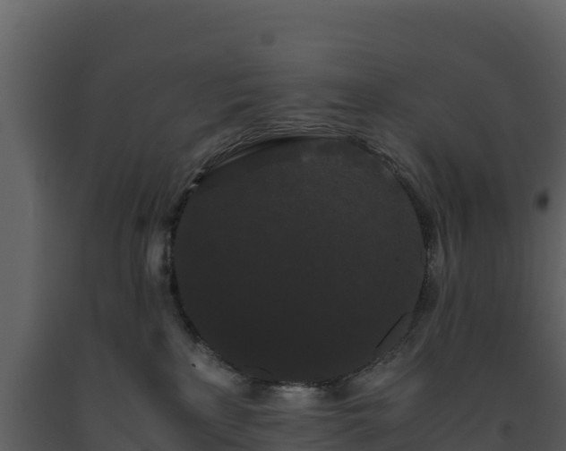 X0000093460233200710191130