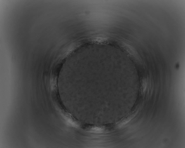 X0000093460236200710191130