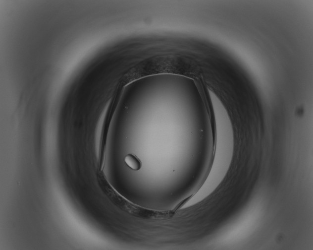 X0000093460239200710191130