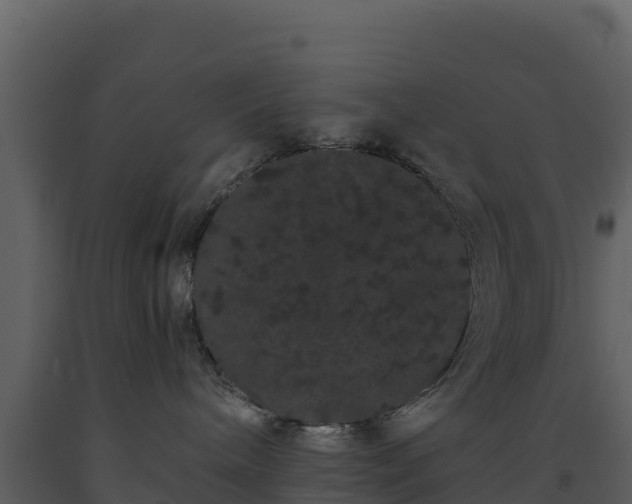 X0000093460240200710191130