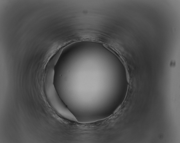 X0000093460241200710191130