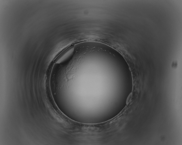 X0000093460242200710191130