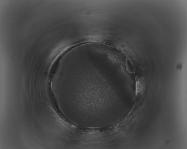 X0000093460243200710191130