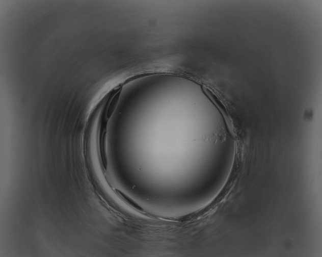 X0000093460244200710191130