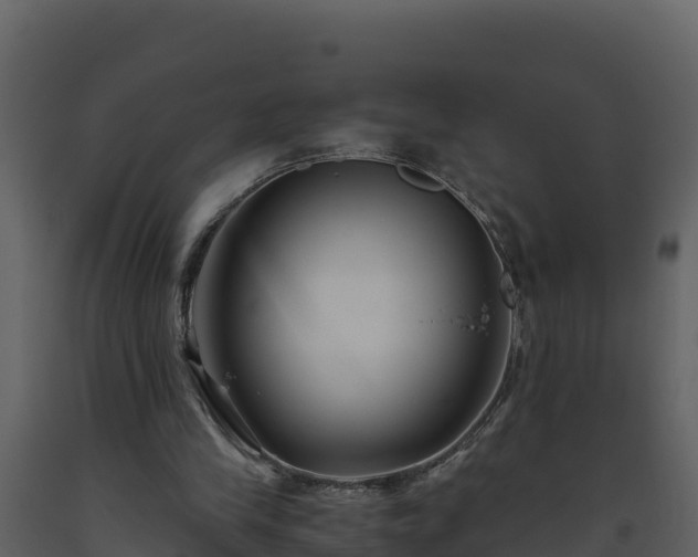 X0000093460245200710191130