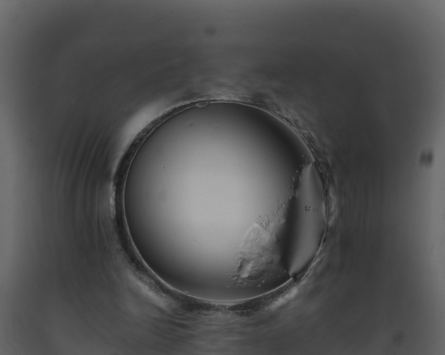 X0000093460246200710191130