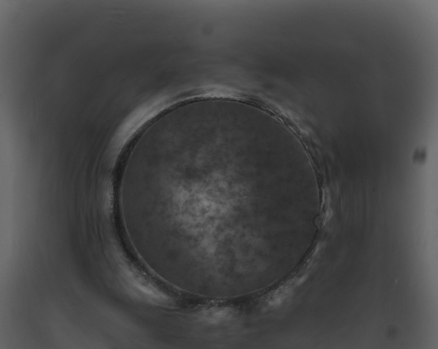 X0000093460247200710191130