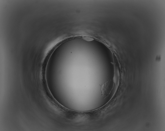 X0000093460248200710191130