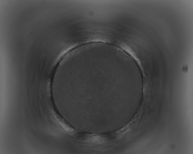 X0000093460249200710191130