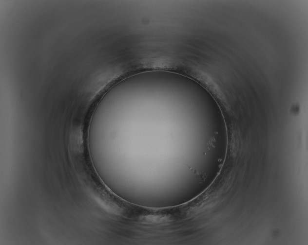 X0000093460251200710191130