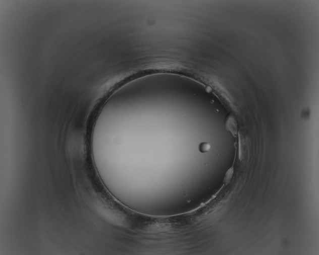 X0000093460252200710191130