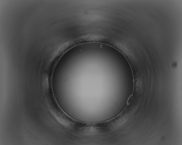 X0000093460254200710191130