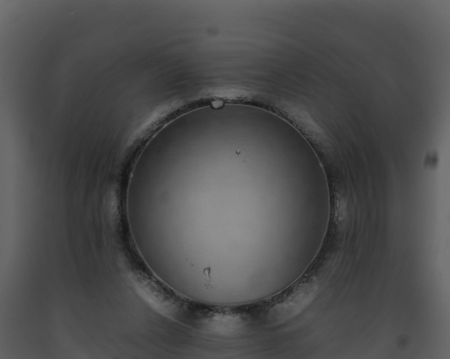 X0000093460256200710191130