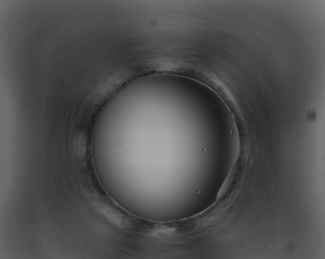 X0000093460257200710191130