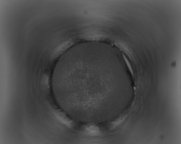 X0000093460258200710191130