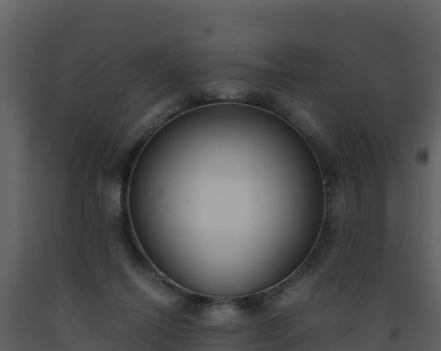 X0000093460262200710191130