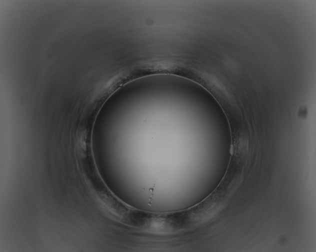 X0000093460264200710191130