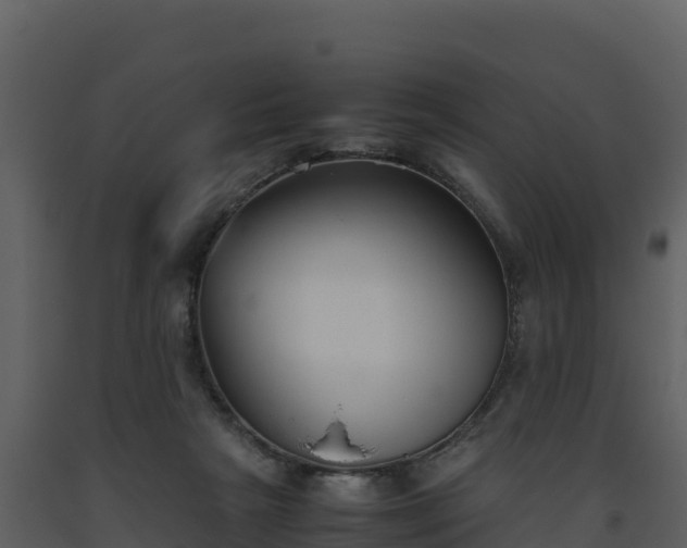 X0000093460265200710191130