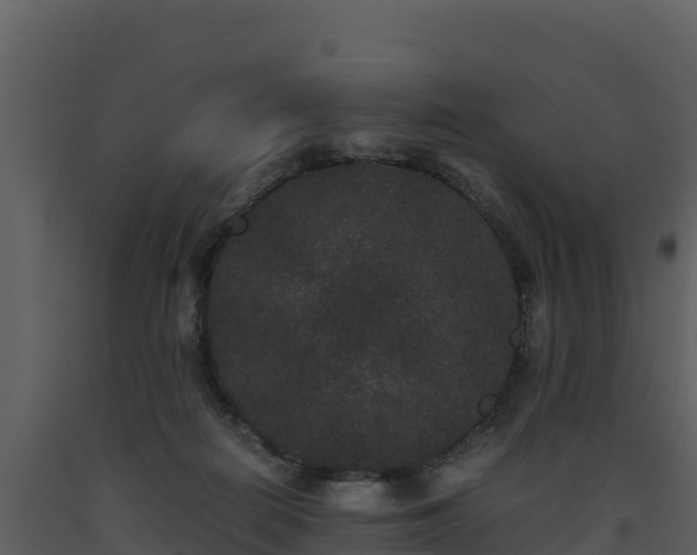 X0000093460266200710191130