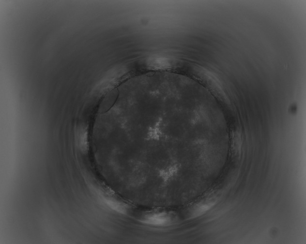 X0000093460267200710191130