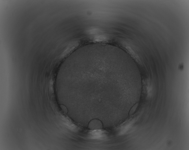 X0000093460269200710191130