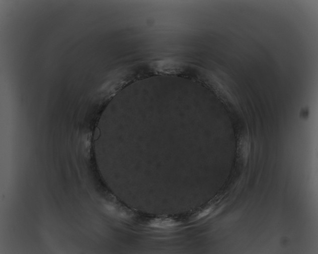 X0000093460271200710191130