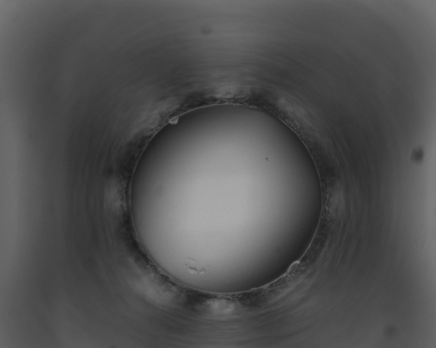 X0000093460272200710191130