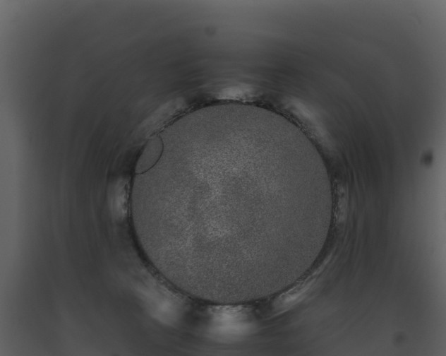 X0000093460273200710191130