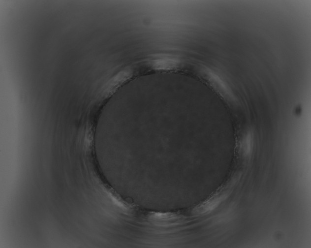 X0000093460277200710191130