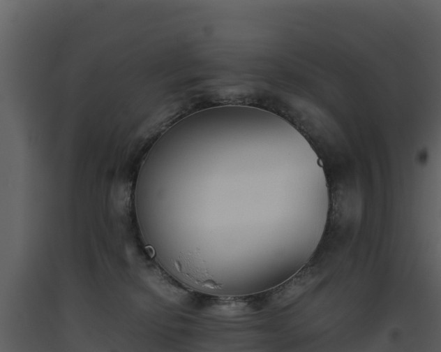 X0000093460278200710191130