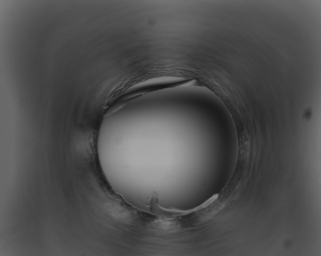 X0000093460280200710191130